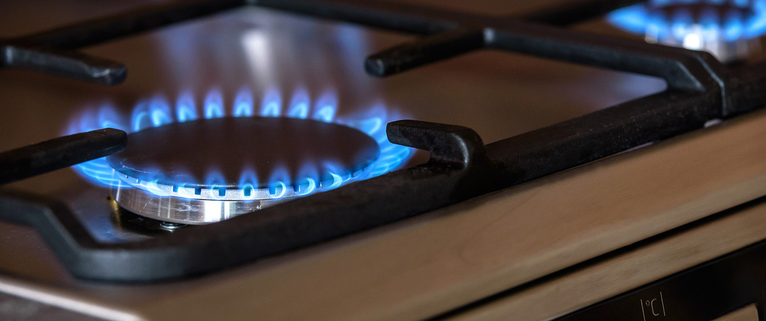 contrôle gaz Butane / Propane (LPG)