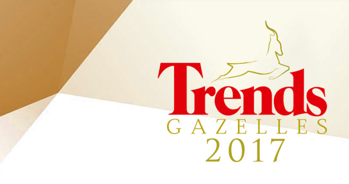 Trends Gazelles 2017